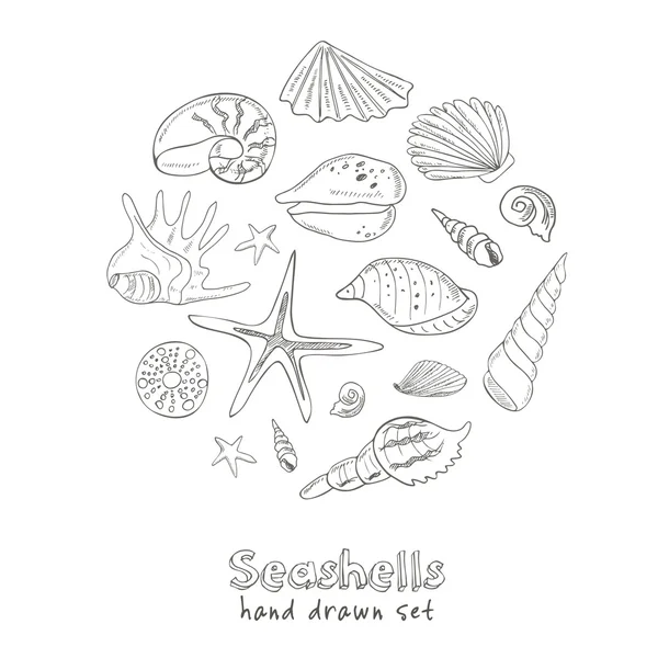 Hand drawn set of seashells. — ストックベクタ