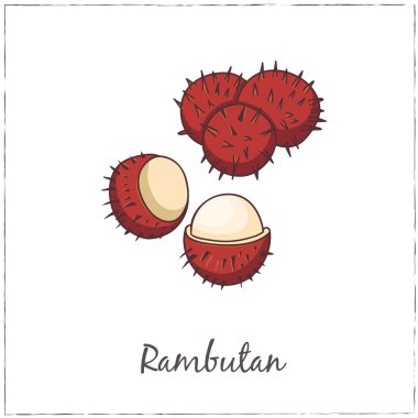 Rambutan, Slice ile birlikte. Egzotik Meyve Koleksiyonu.