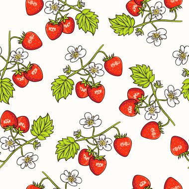 Strawberry seamless pattern. Collection of berries.