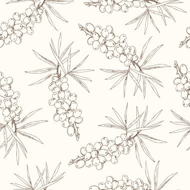 Sea-buckthorn seamless pattern. Collection of berries.