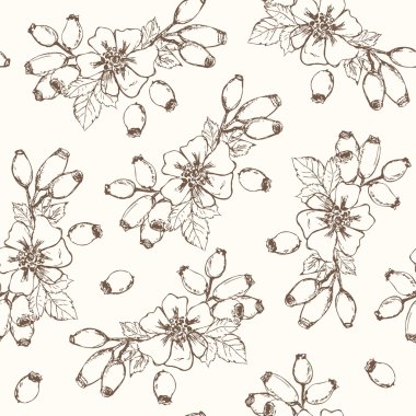 Dogrose Seamless Pattern. Collection of berries.