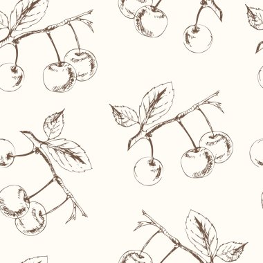 Cherry Seamless Pattern. Collection of berries.