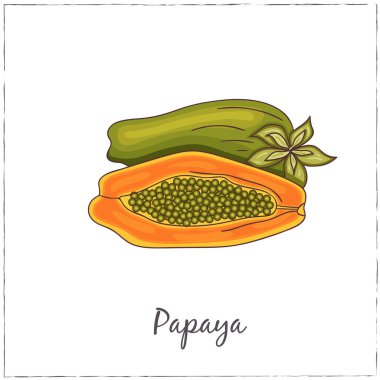 Papaya ile dilim. Egzotik meyve toplama.