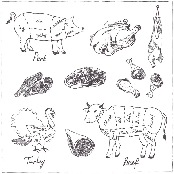 Conjunto de vetor desenhado à mão com carne . — Vetor de Stock
