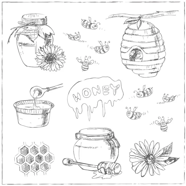 Hand drawn vector set with honey elements. — Stok Vektör