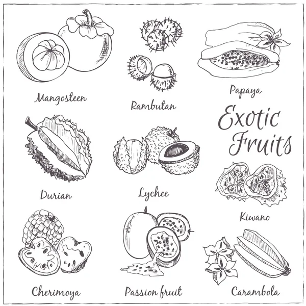 Ilustração vetorial de frutos —  Vetores de Stock