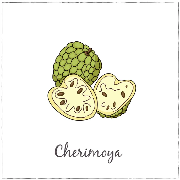 Cherimoya with Slice. Collection of Exotic Fruits. — Stock Vector