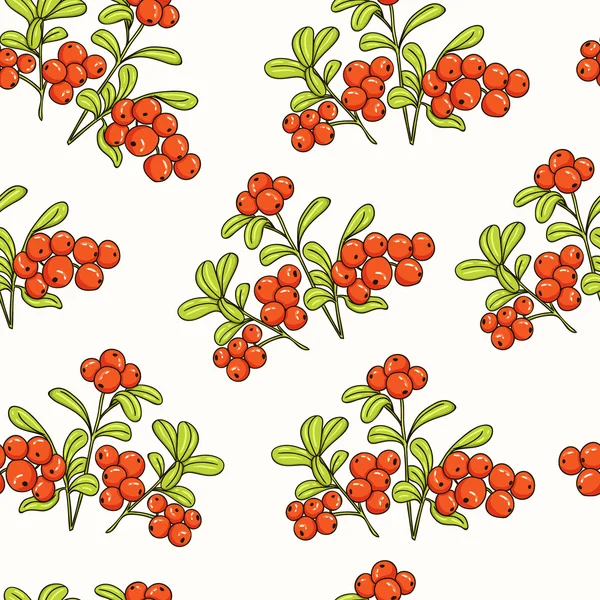 Lingonberry Seamless Pattern. Collection of berries. — Stock Vector