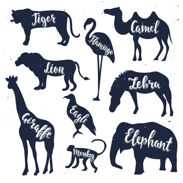 Wild Animals Signed Name Icons Set Stock Vector (Royalty Free) 1116242468