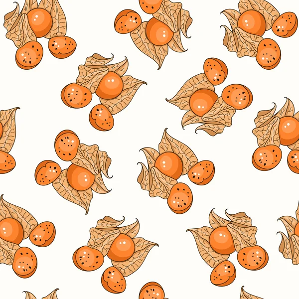 Physalis Seamless Pattern. Collection of berries. — Stock Vector