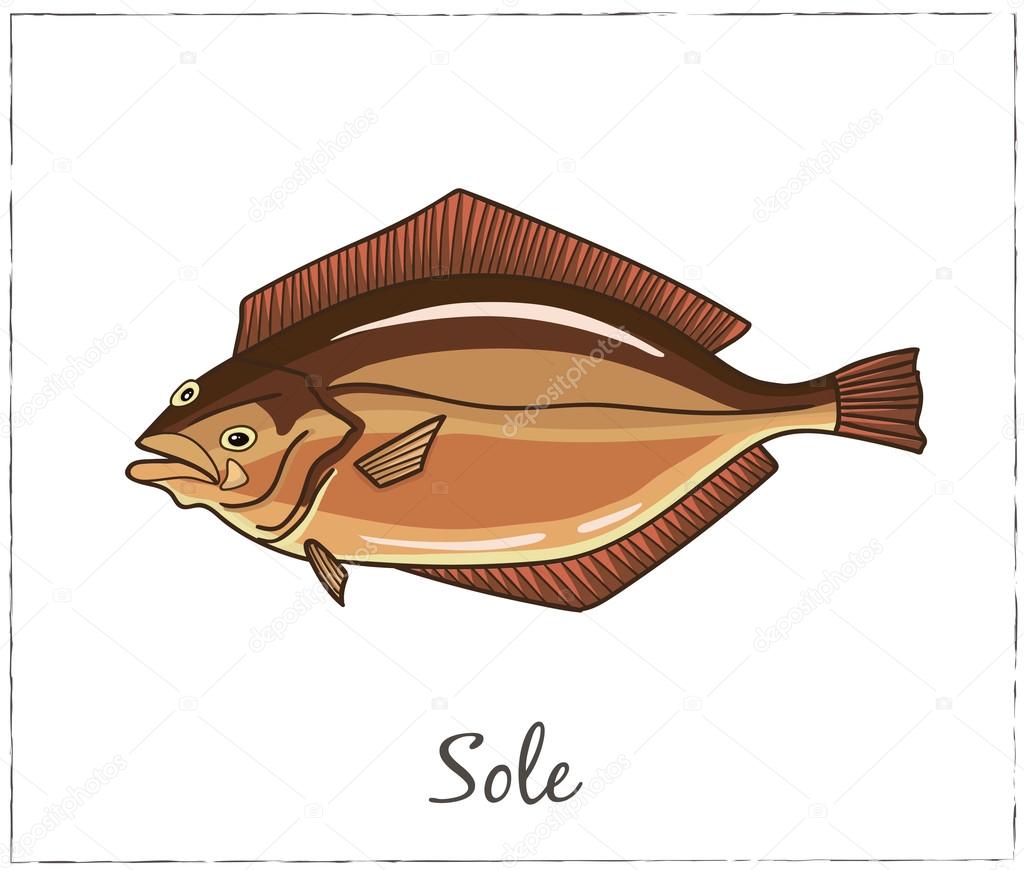 Fish collection. Vector illustration of fish for design menus, recipes and packages product.