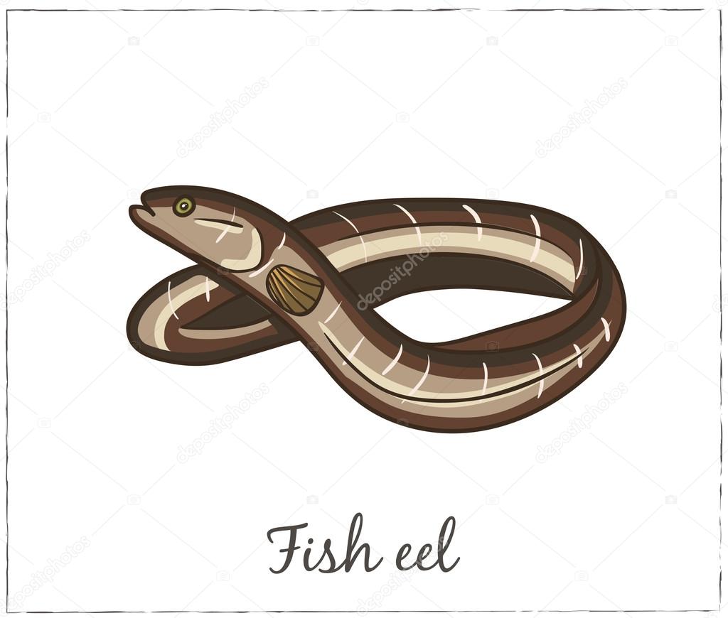 Fish collection. Vector illustration of fish for design menus, recipes and packages product.