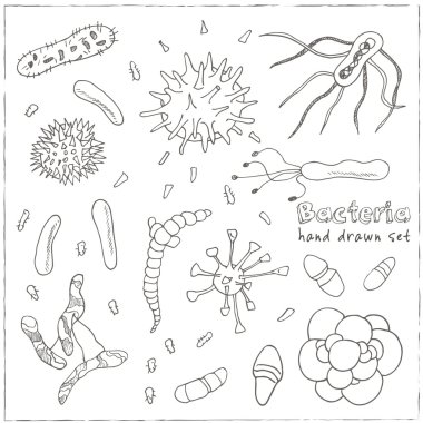 Bacteria virus icons set. Sketches. clipart