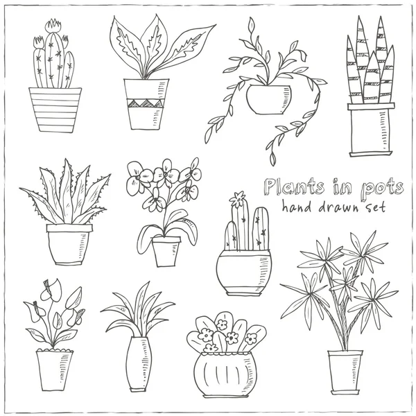 Conjunto de plantas en una maceta — Archivo Imágenes Vectoriales
