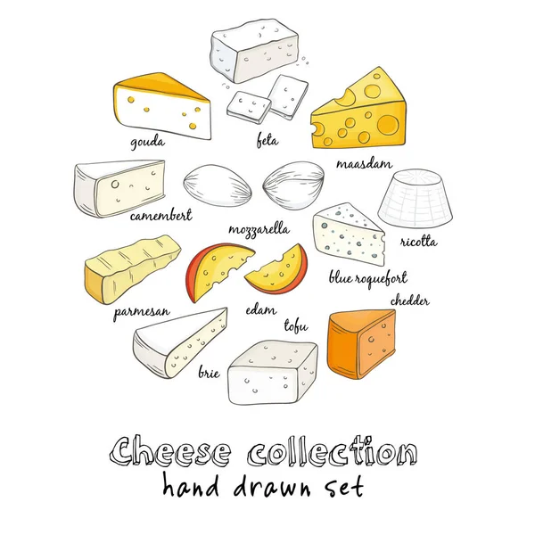 Collection de fromages coupés en tranches assortiment de fromages. Ensemble d'icônes décoratives. Illustration vectorielle pour les menus, recettes et emballages de design. — Image vectorielle