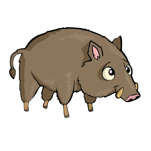 Hog Friendly Cute forest animal Cartoon.