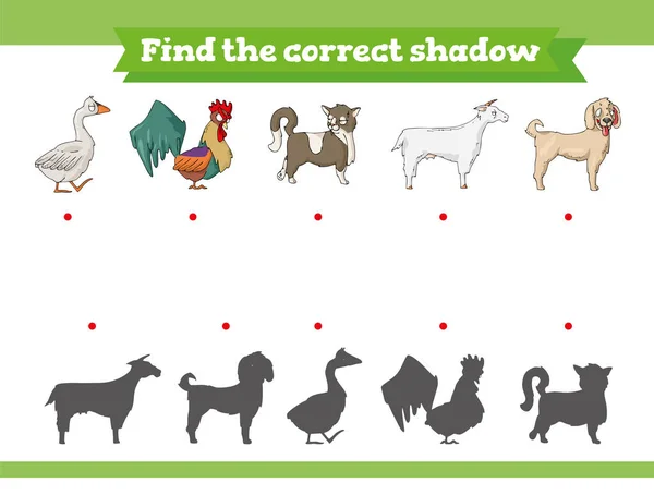 Find the correct shadow. Educational game for children. Cartoon — Stock Photo, Image