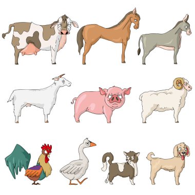 Çiftlik hayvanları, inek, at, eşek, keçi, domuz, koyun, horoz, kaz, kedi, kedi, köpek beyaz arka planda şirin çizgi film 