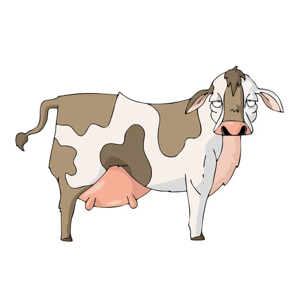 Vache sur fond blanc Mignon vecteur de bande dessinée — Image vectorielle