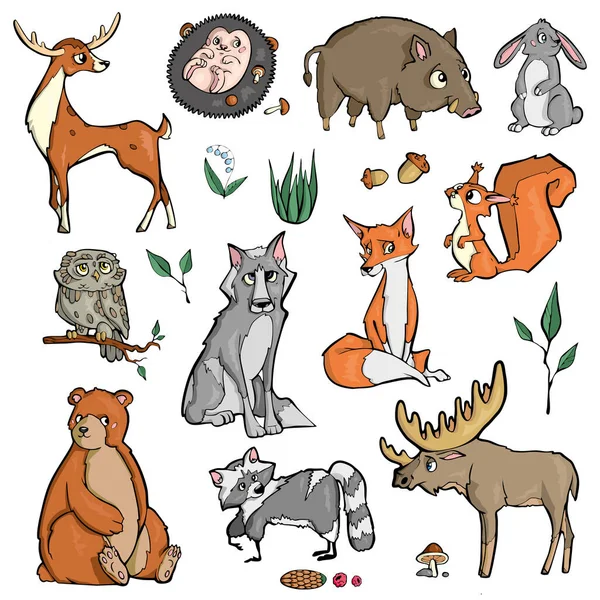 Floresta animais no fundo branco Desenhos animados bonitos —  Vetores de Stock