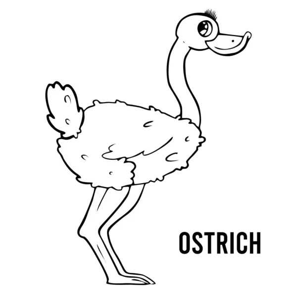 Ostrich Coloring page for preschool children. Learn numbers for kindergartens and schools. Educational game. — Stockvektor