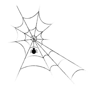 SpiderWeb ve örümcek