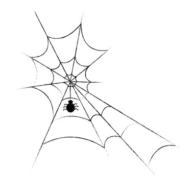 Spiderweb and Spider clipart