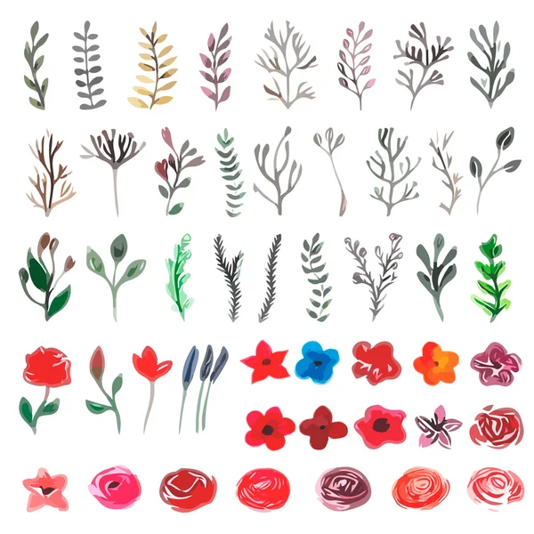Vektör çiçek ayarlayın. Yaprakları ve fl ile renkli çiçek toplama — Stok Vektör