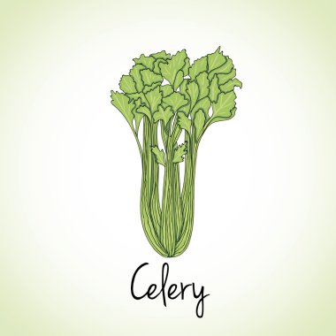 Celery Herbs and Spices.
