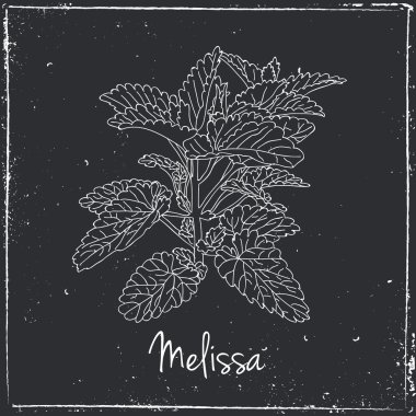 Melissa Herbs and Spices.