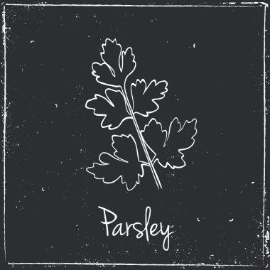 Parsley, Herbs and Spices.