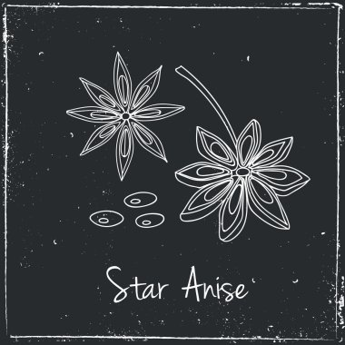 Star Anise, Herbs and Spices.