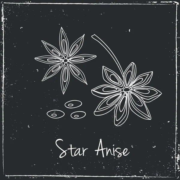 Star Anise, Herbs and Spices. — Wektor stockowy