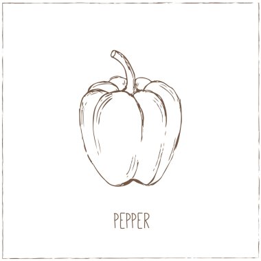 Biber. Sebze toplama.