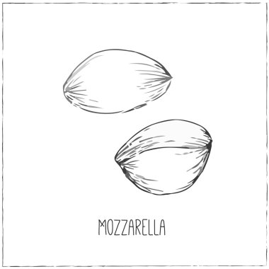 Peynir topluluğu. Mozzarella peyniri