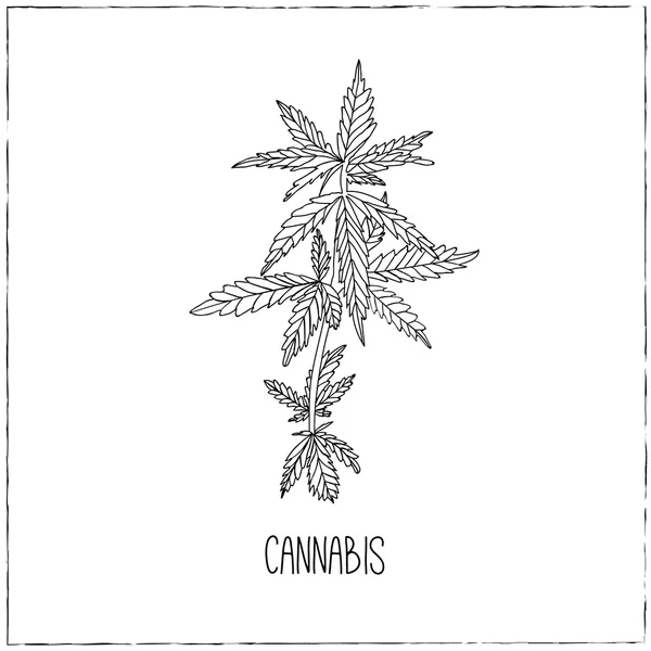 Mutfak çizilmiş esrar