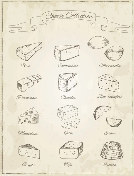 Collection de fromage sur fond vintage — Image vectorielle