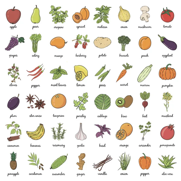 Ovoce a zelenina s názvy — Stockový vektor