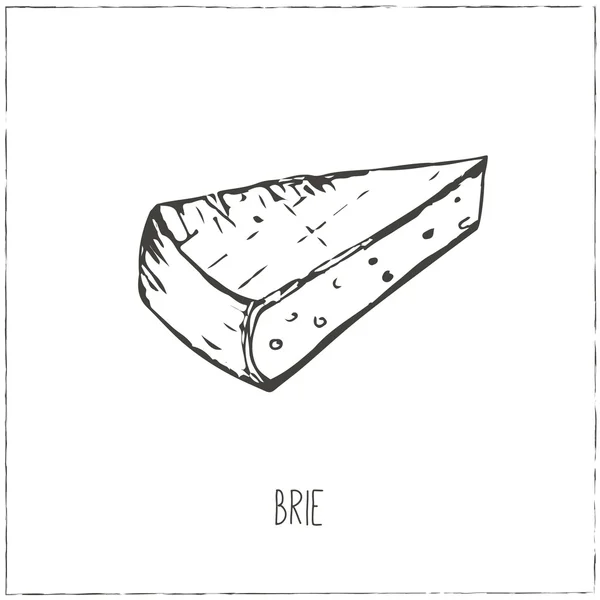 Collection de fromage. Fromage coupé en tranches — Image vectorielle