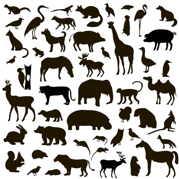 Set of Black Animals and Birds Silhouettes — Stock Vector