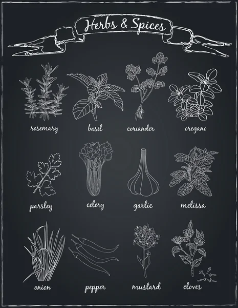 Conjunto de hierbas y especias . — Archivo Imágenes Vectoriales