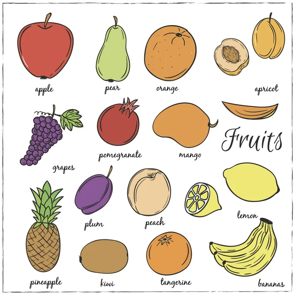 Handgezeichnete Doodle-Früchte mit Namen — Stockvektor