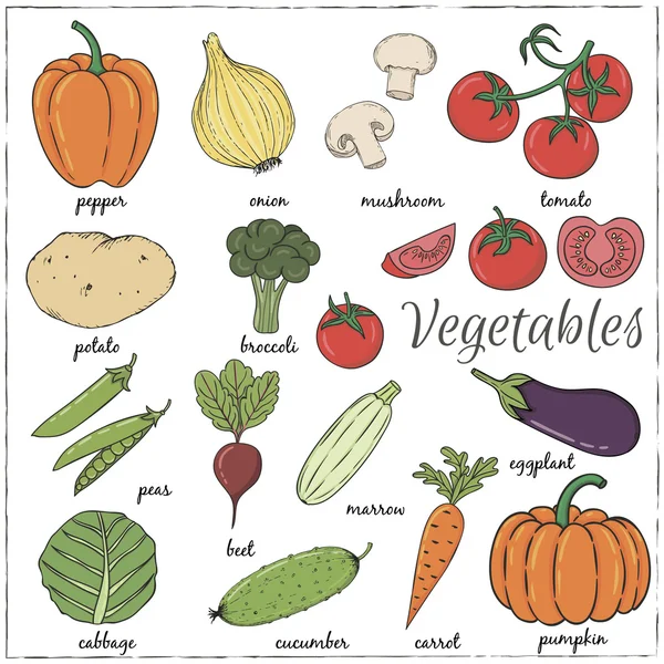 描かれた野菜の名前を手します。 — ストックベクタ