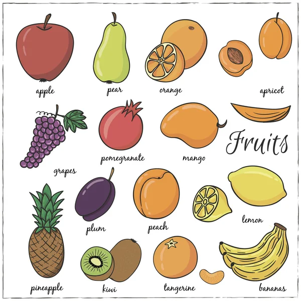 Handgezeichnete Doodle-Früchte — Stockvektor