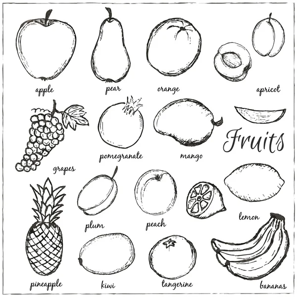 Doodle desenhado à mão Frutas com nomes — Vetor de Stock