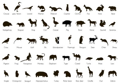 Animals and Birds Silhouettes with Name.