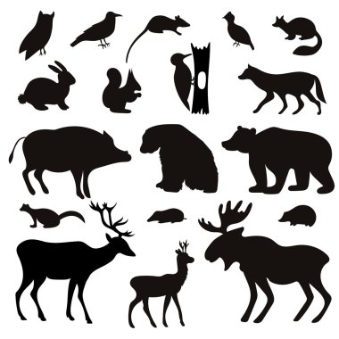 Tropical Animals and Birds Silhouettes.