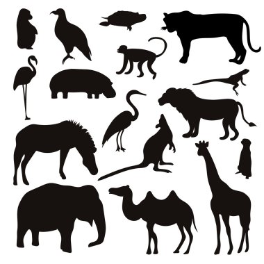 Black Tropical Animals and Birds