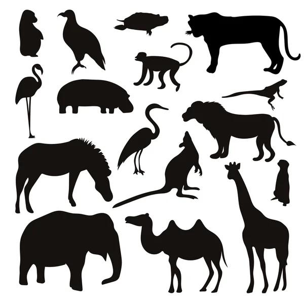 Чёрные тропические животные и птицы — стоковый вектор