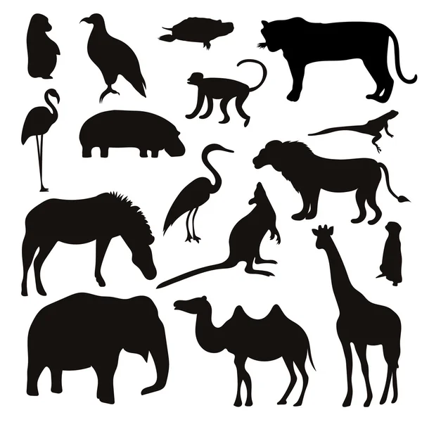 Black Tropical Animals and Birds — Stock Vector